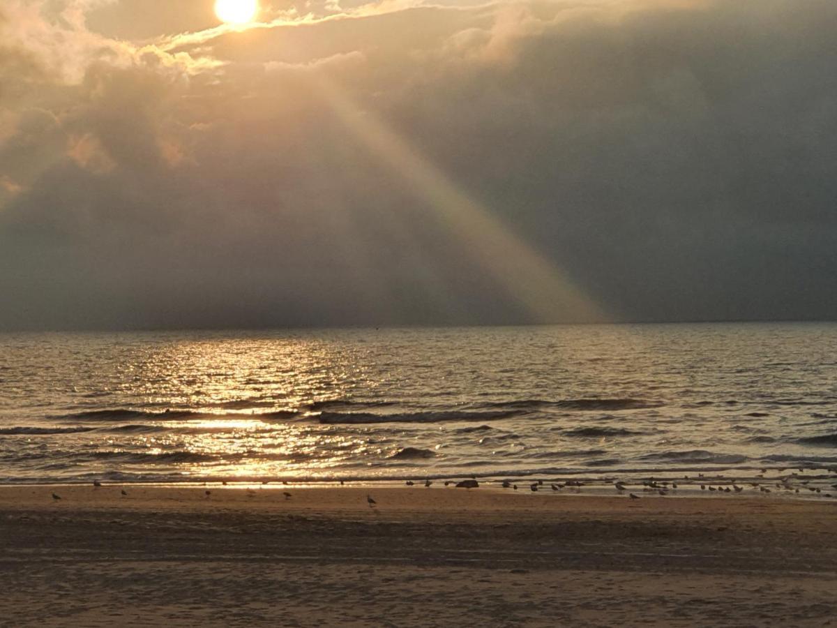 Bed and Breakfast Scheveningen Sea Side Haga Zewnętrze zdjęcie